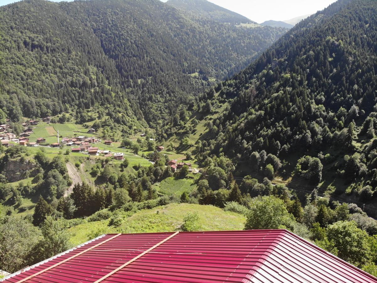 Aparthotel Badul Apart Uzungöl Exteriér fotografie